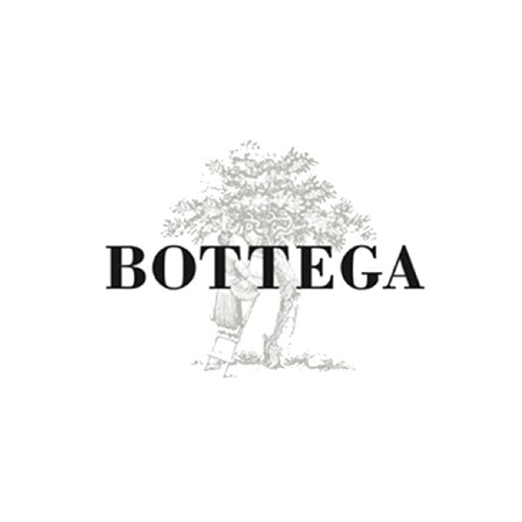 Bottega